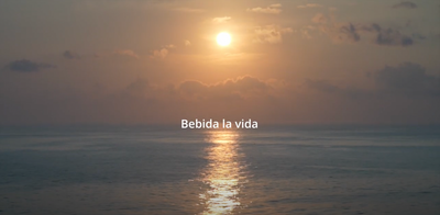 BEBIDA LA VIDA - A SHORT FILM BY JALIAN JOHNSON