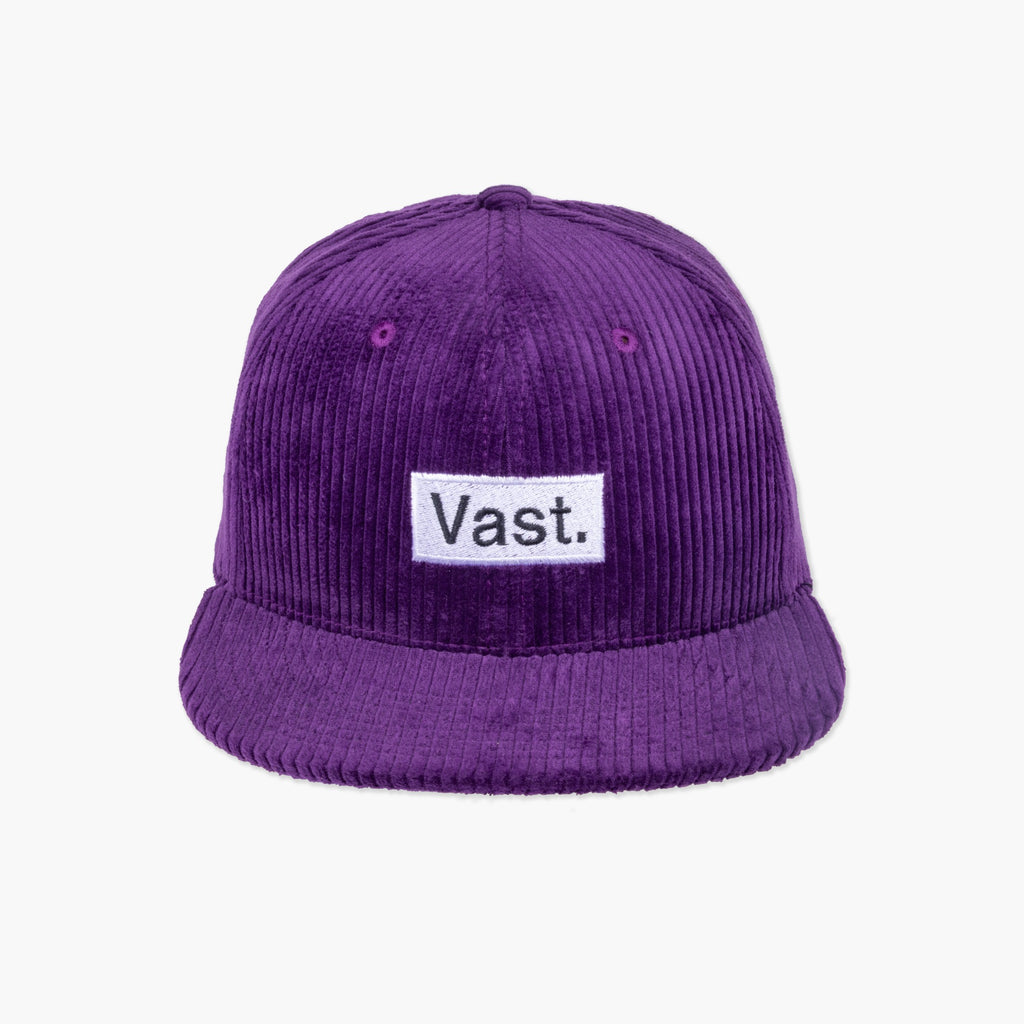 Purple Vast. Box Snap Back