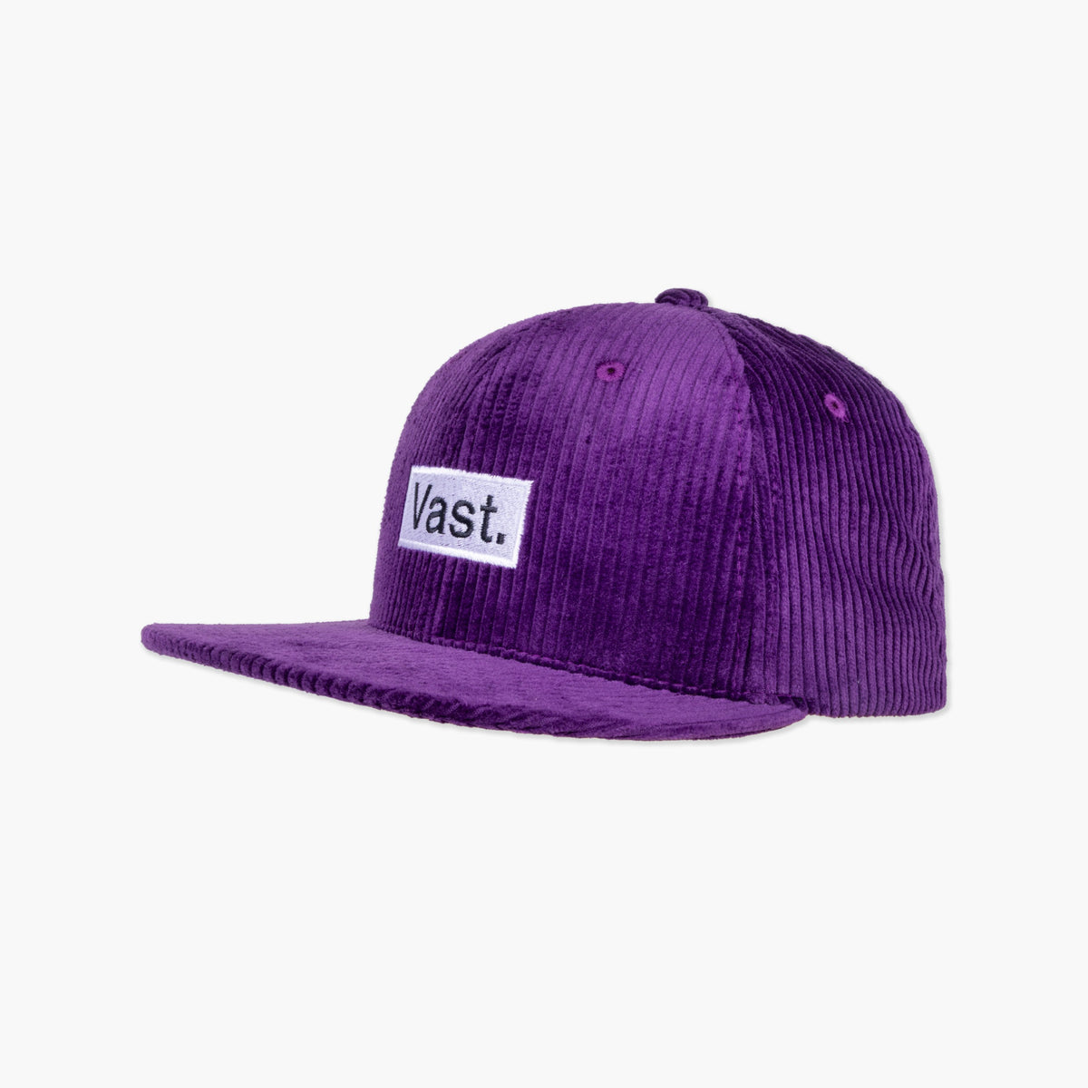 Purple Vast. Box Snap Back
