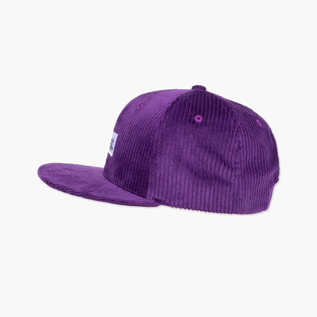 Purple Vast. Box Snap Back