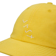 VastxCJ Dunn Forms Hat